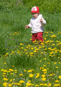 child on the green meadow