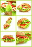 Collage of many different fresh sandwichs
