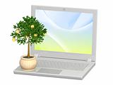 Monetary tree and laptop