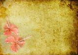 vintage background image with a tropical flowers hibiskus