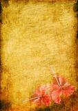 vintage background image with a tropical flower hibiskus
