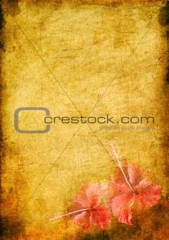 vintage background image with a tropical flower hibiskus