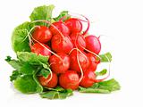 fresh red radish vegetables with green leaves