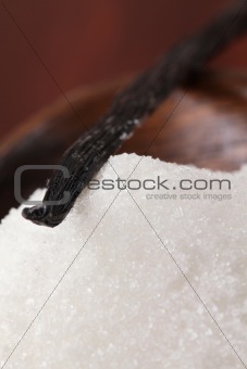 Vanilla bean on caster sugar