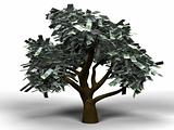 money tree euro