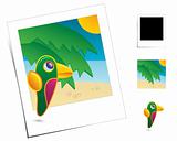Animal Scenes / Holidays Parrot