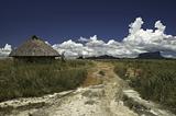 Tradional hut in Venezuela with bright landscape on background