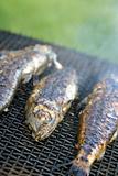 Trout on grill