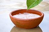 Dropping of Water drops from green leaf into red clay bowl