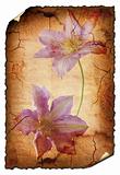 vintage background image with flowers 22