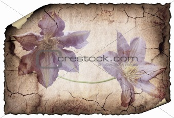 vintage background image with flowers.