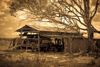 the old farm shed