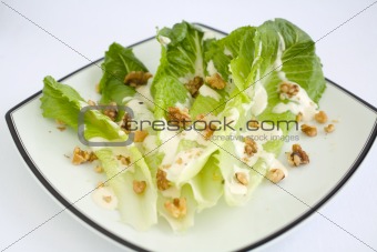Salad Romaine Lettuce with Ranch Dressing
