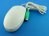 The computer mouse.