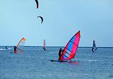 windsurfers and kitesurfers on waves of a gulf