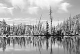 yellowstone reflections in infrared
