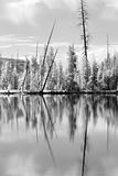 Yellowstone reflections in infrared