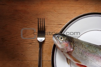 Trout Lunch