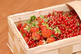 Red currant & strawberry in basket