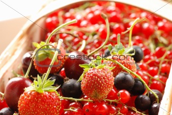 Currant & strawberry in basket