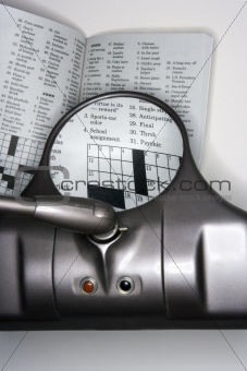 Vision magnifying glass wih crossword puzzle.