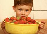 The child looks at a plate with red berries