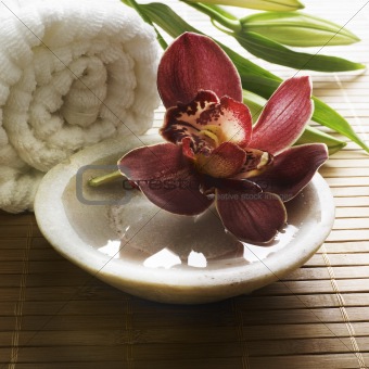 decor zen orchid
