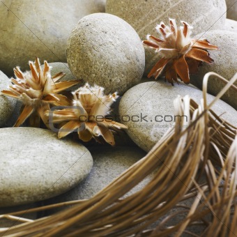 Stones and flowers arrangement