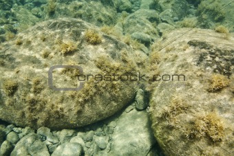 Underwater view of rocks in Maui, Hawaii.