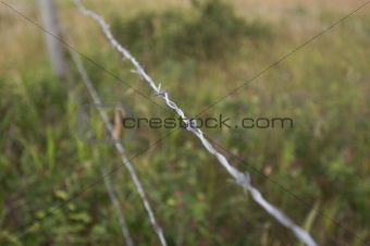 Barbwire fence