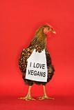 Chicken wearing sign reading I love vegans.