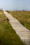 Path to beach on Bald Head Island, North Carolina.