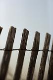 Weathered wooden fence.
