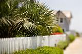 White picket fence with palms.