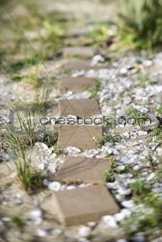 Stepping stone pathway with oyster shells.