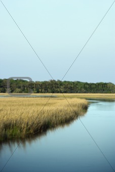 Marsh landscape on Bald Head Island, North Carolina.