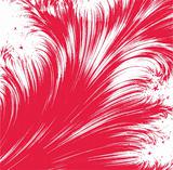 abstarct red feather background