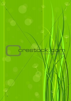Green spring background 