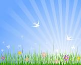 Spring Meadow Background