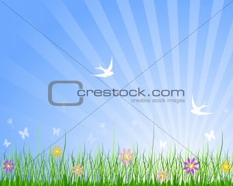 Spring Meadow Background