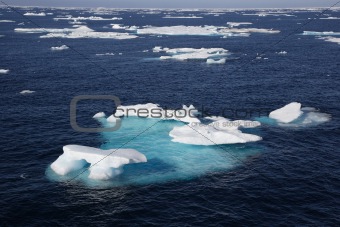 Ice floe in the canadian arctic