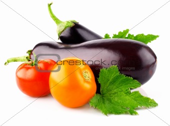 eggplant vegetable fruits with tomatoes