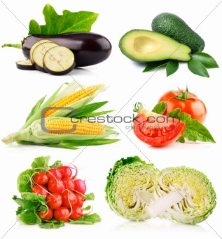 set fresh vegetables with cut and green leaves