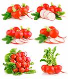 set fresh red radish vegetables with green leaves
