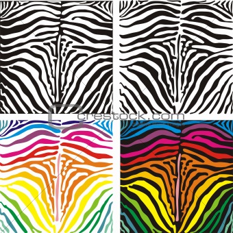 Vector background skin zebra