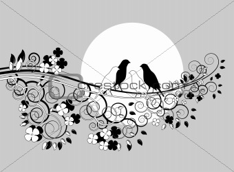 couple of birds on branch