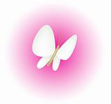 white butterfly in pink background