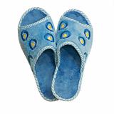 Pair of blue home slippers