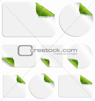 Leaf Stickers