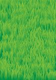 Green_grass